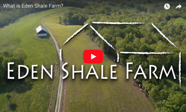 What is Eden Shale Farm?